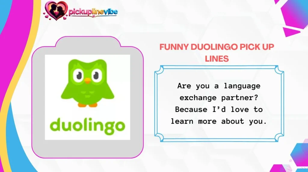 Funny Duolingo Pick Up Lines