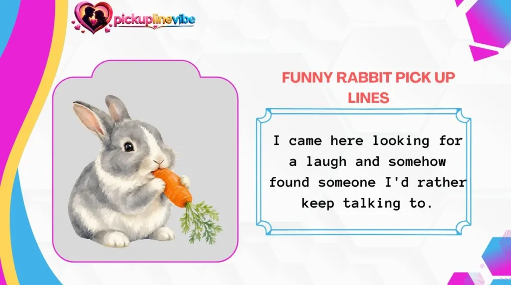 Funny Rabbit Pick Up Lines