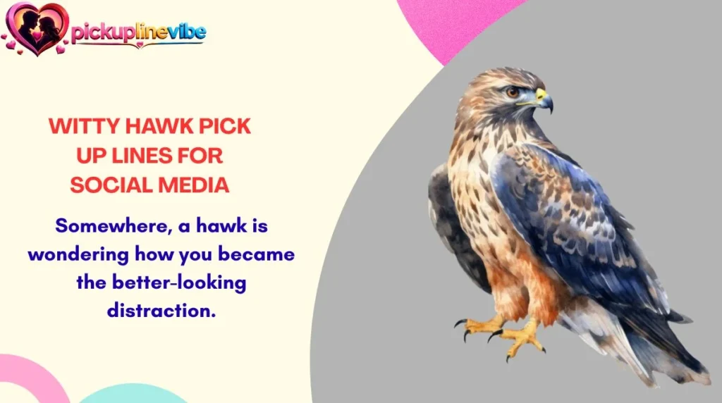 Witty Hawk Pick Up Lines for Social Media
