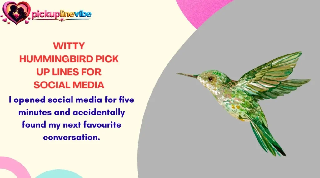 Witty Hummingbird Pick Up Lines for Social Media